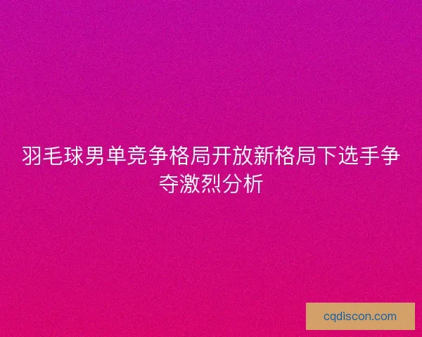 羽毛球男单竞争格局开放新格局下选手争夺激烈分析